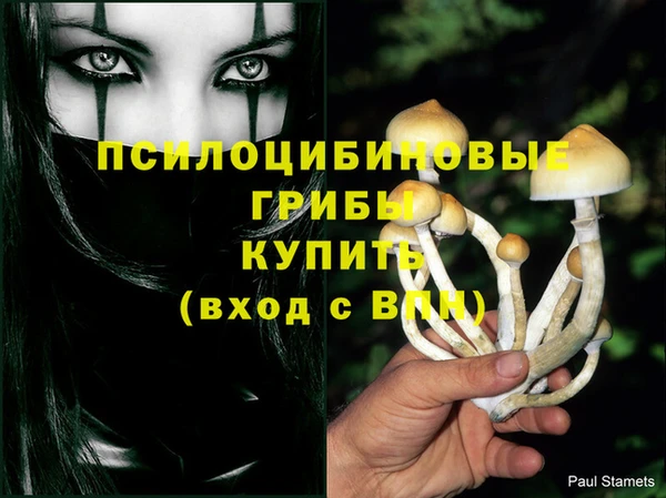 ГАЛЛЮЦИНОГЕННЫЕ ГРИБЫ Абинск