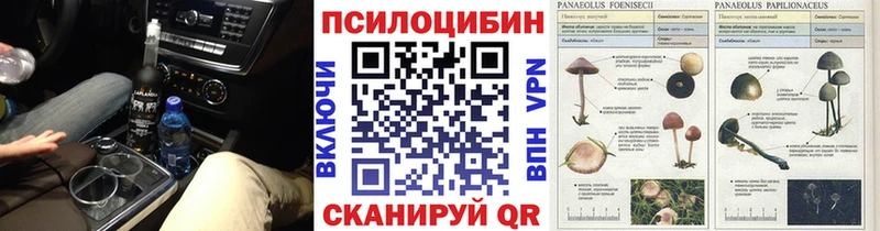 Галлюциногенные грибы MAGIC MUSHROOMS где продают наркотики OMG tor Мамоново